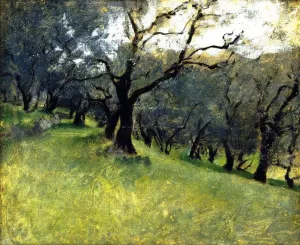 Olive Trees by John Singer Sargent Oil Painting Reproduction