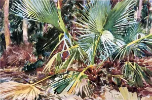 Palmettos, Florida by John Singer Sargent Oil Painting Reproduction