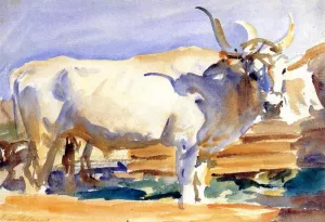 White Ox at Siena by John Singer Sargent - Hand-Painted Oil Painting Reproduction